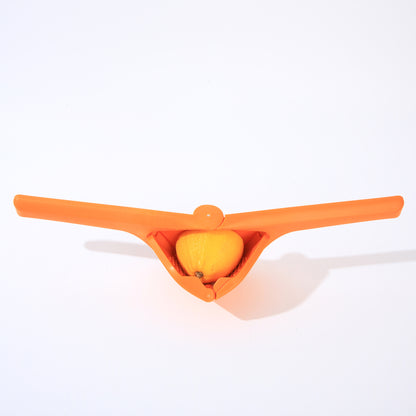 Manual fruit juicer