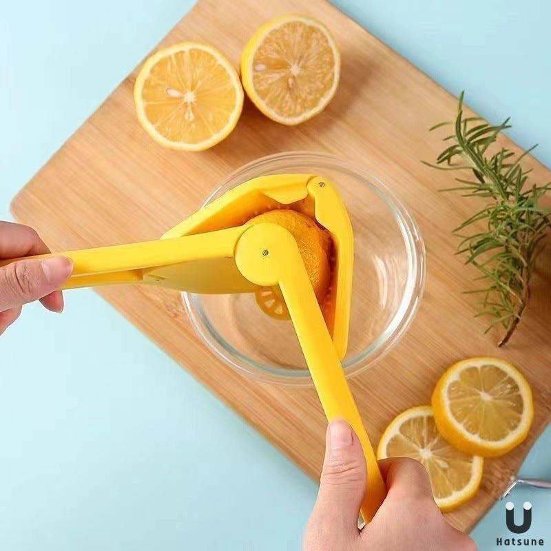 Manual Fruit Juicer with Pulp Separator
