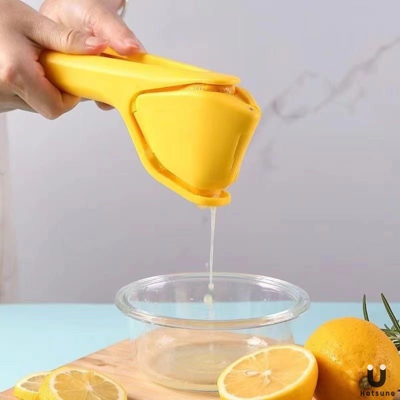 Manual Fruit Juicer with Pulp Separator