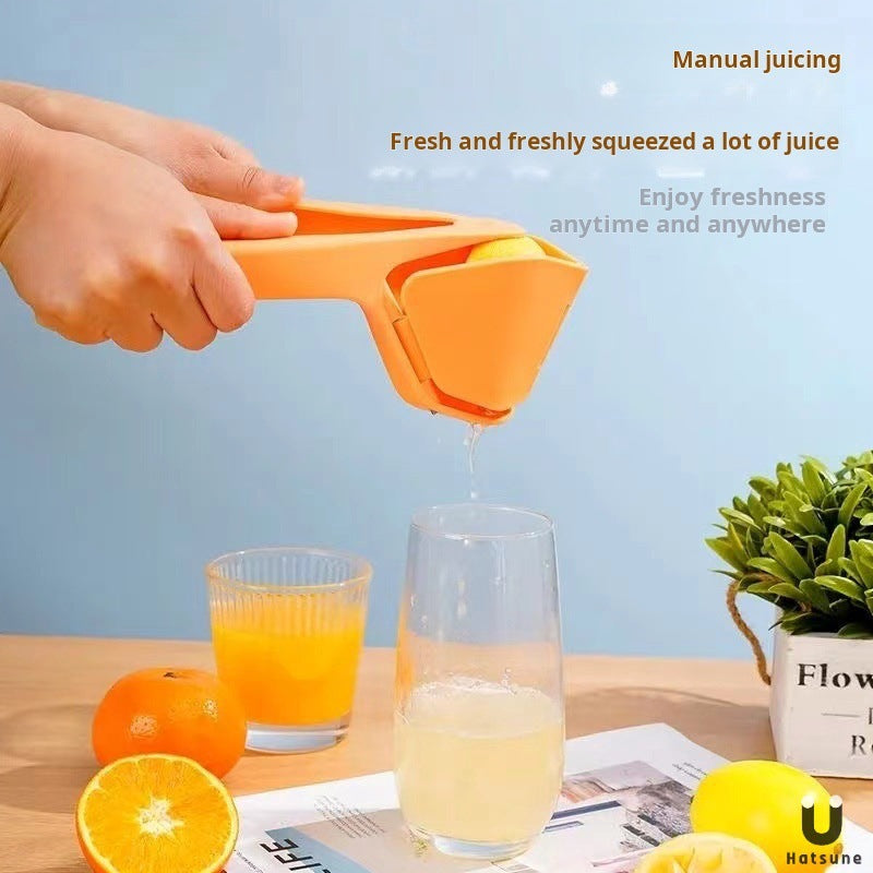 Manual Fruit Juicer with Pulp Separator