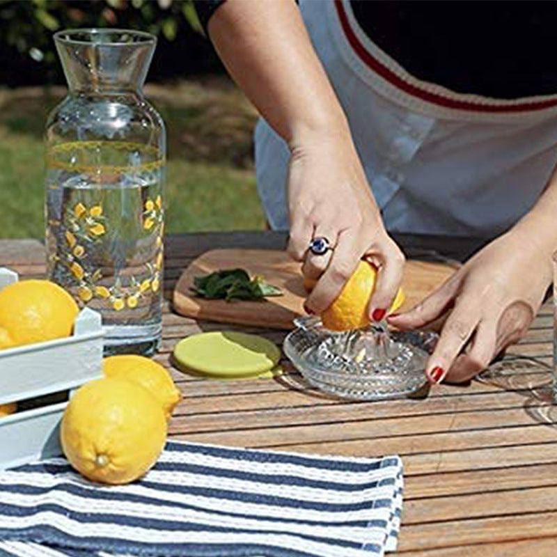 Manual Glass Citrus Juicer