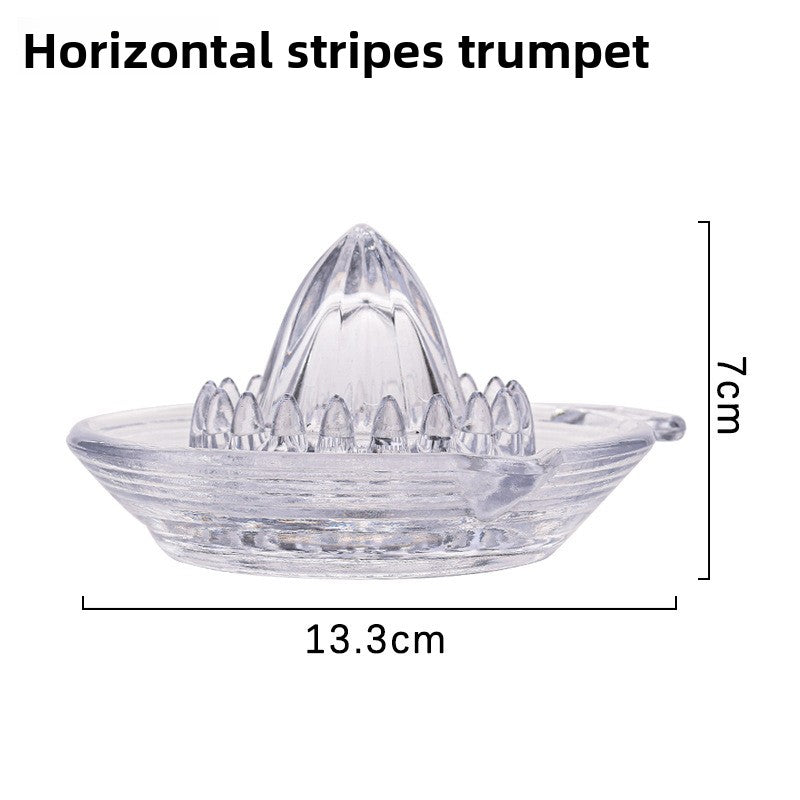 Manual Glass Citrus Juicer