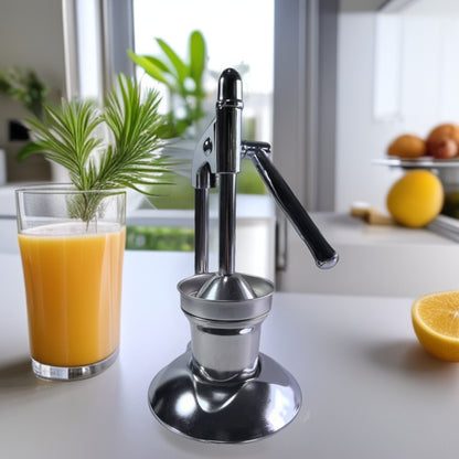Manual Juice Stainless Steel (Grade 304) Fruit and Vegetable Juicer