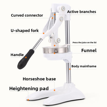 manual juicer