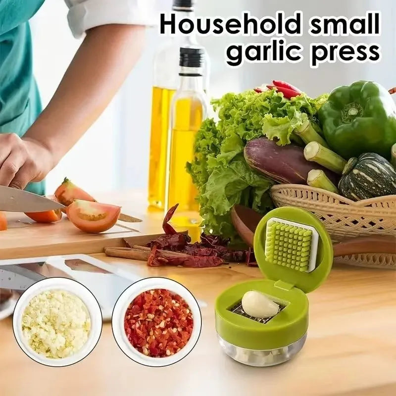 Manual Stainless Steel Garlic Crusher