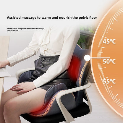 Massage Cushion