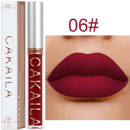 Matte lip gloss