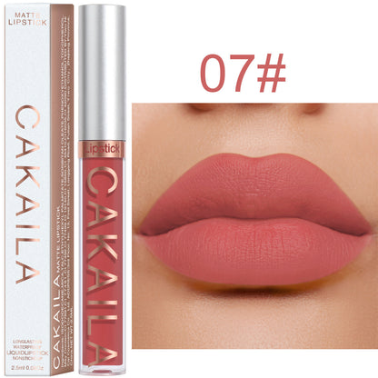 Matte lip gloss