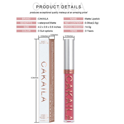 Matte lip gloss