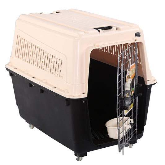 Medium Dog Air Travel Crate with Secure Latch