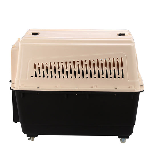 Medium Dog Air Travel Crate with Secure Latch