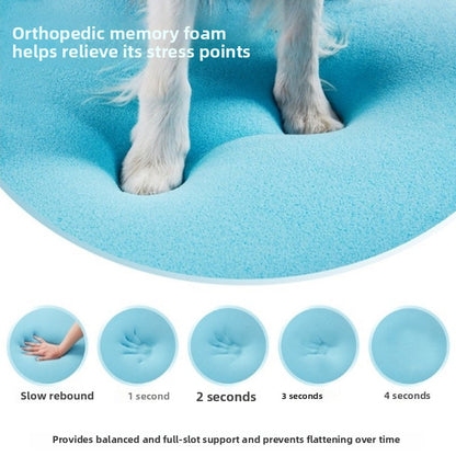 medium-sized dog large dog pet products dog