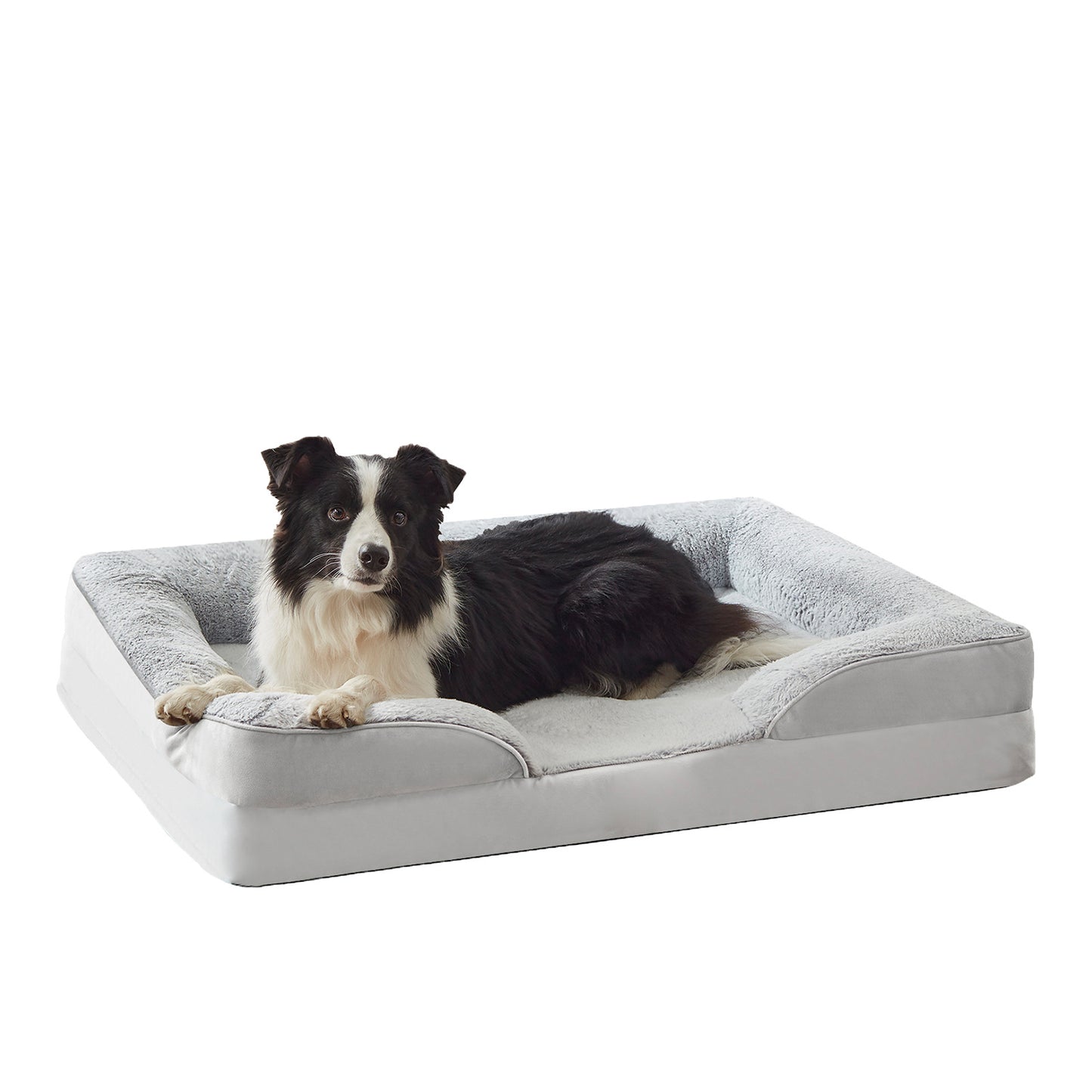 medium-sized dog large dog pet products dog