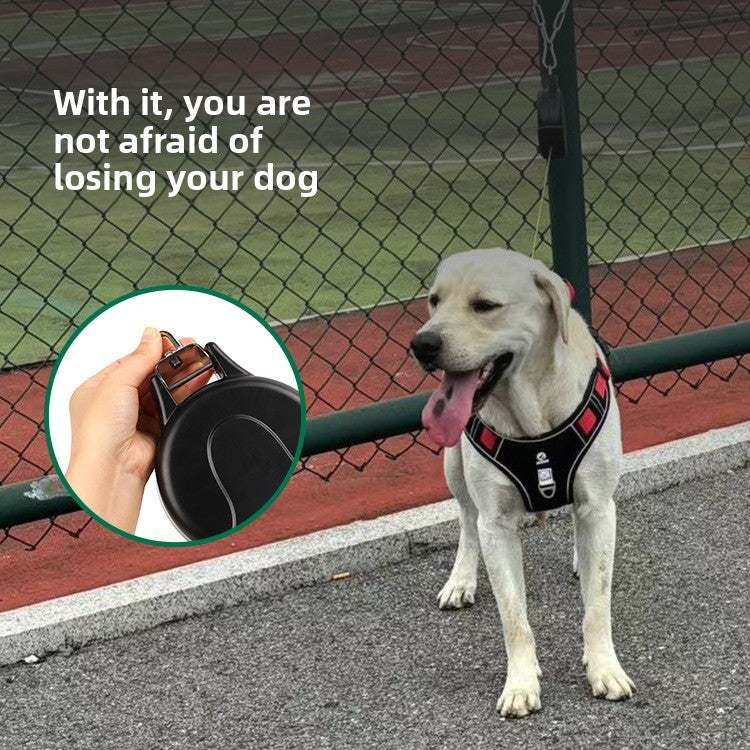 Medium-sized dogs and large dogs are leashed with dog leashes