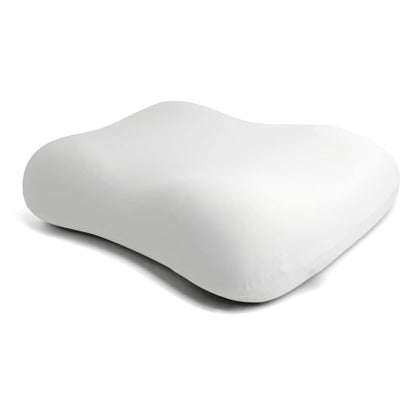 Memory cotton pillow
