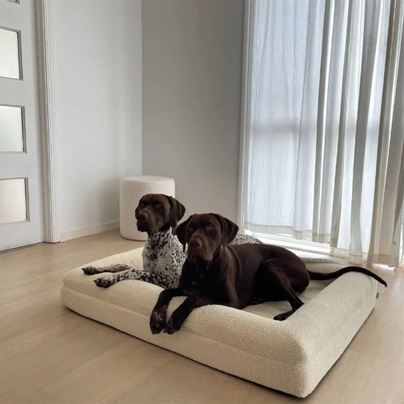 Memory Foam Waterproof Dog Bed