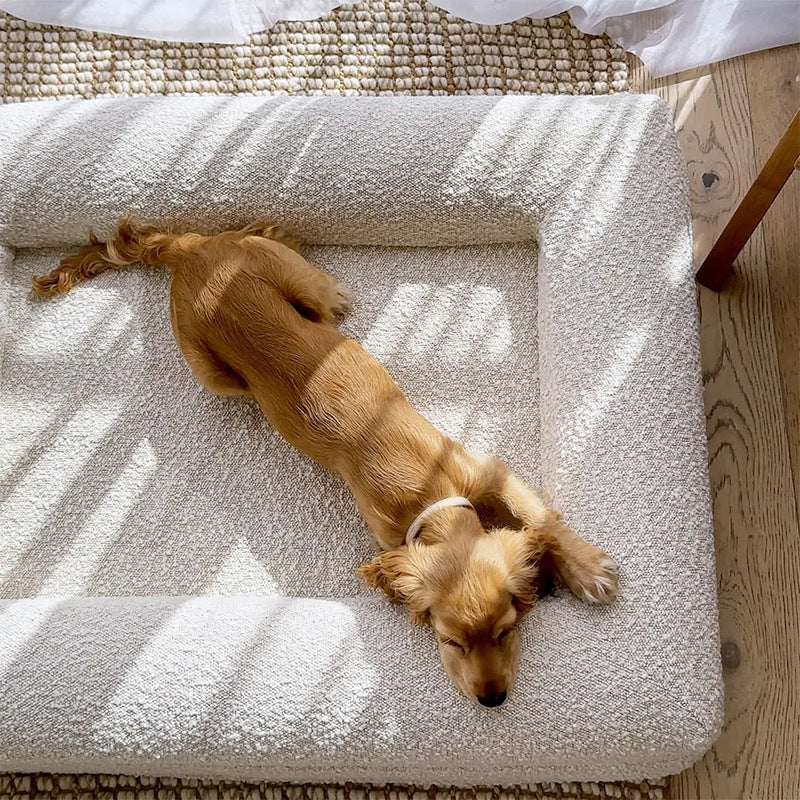 Memory Foam Waterproof Dog Bed
