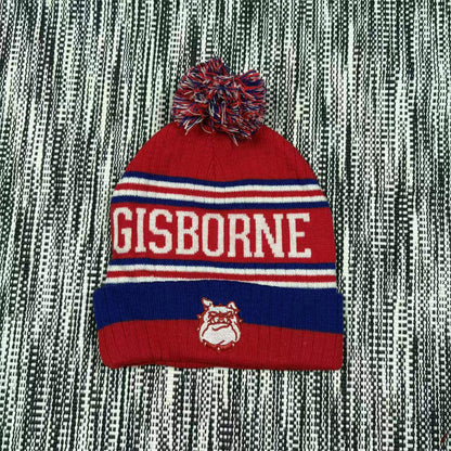 Men's and women's warm winter hats