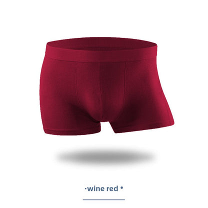 Men's Breathable Sport Underwear