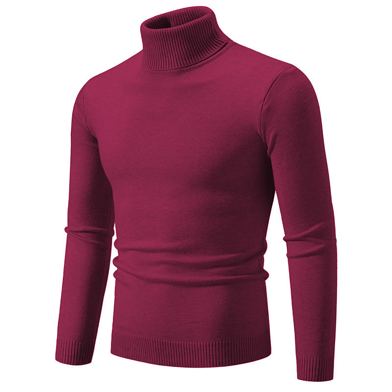 Men's Slim Fit Turtleneck Knit Sweater