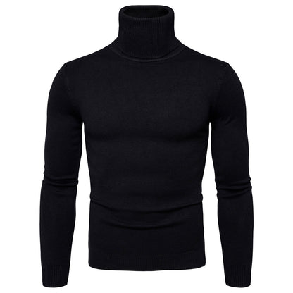Men's Slim Fit Turtleneck Knit Sweater