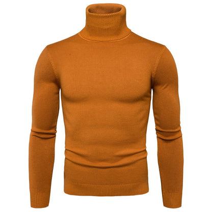 Men's Slim Fit Turtleneck Knit Sweater
