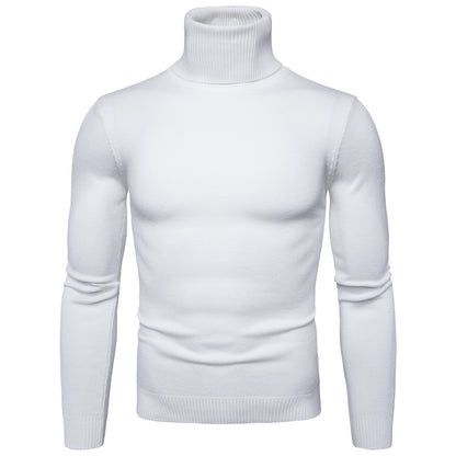 Men's Slim Fit Turtleneck Knit Sweater