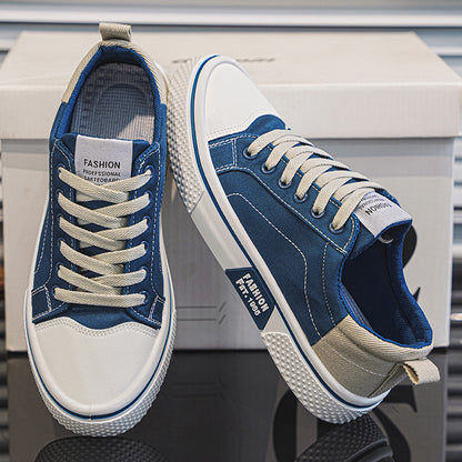 Men's Spring/Summer Canvas Shoes