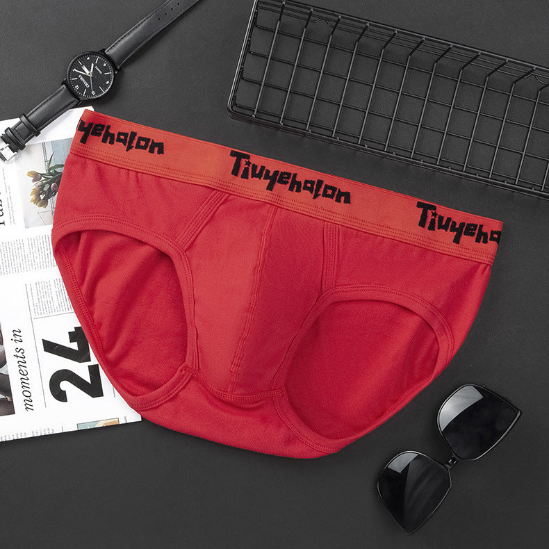 men's triangle briefs