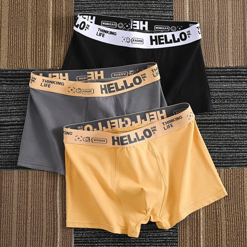 men's underwear