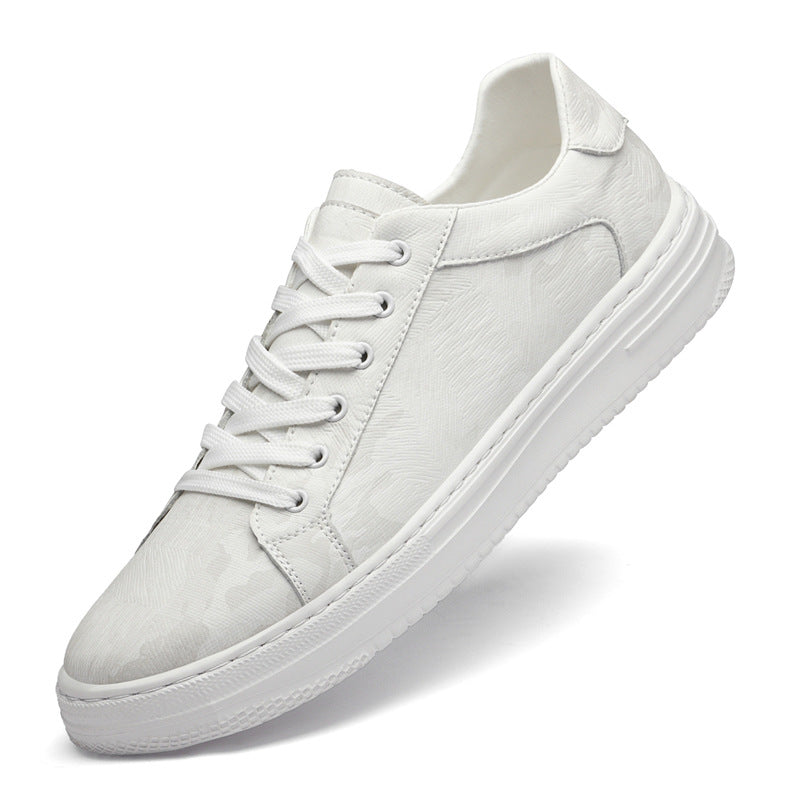 Mens Canvas Shoes