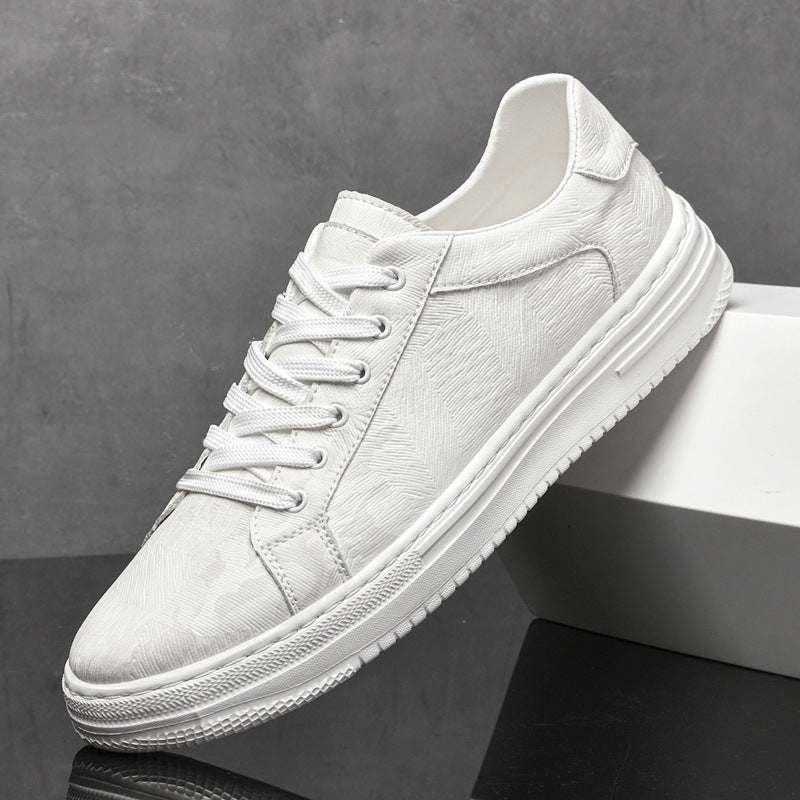 Mens Canvas Shoes