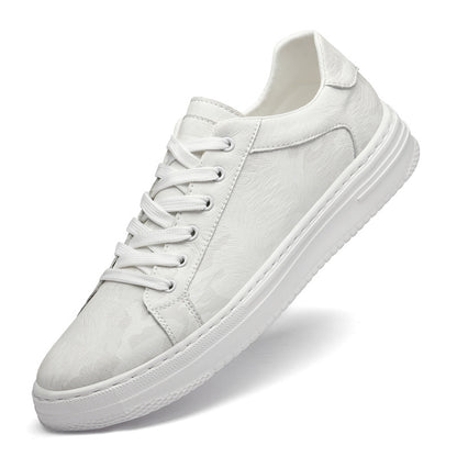 Mens Canvas Shoes