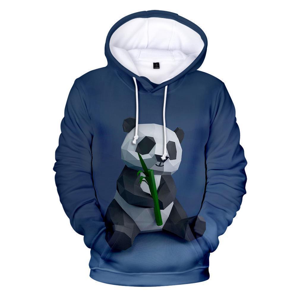 Mens Hooded Sweatshirt
