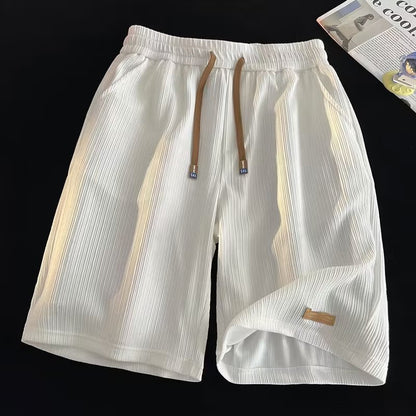 Mens Pleated Quick Dry Casual Shorts