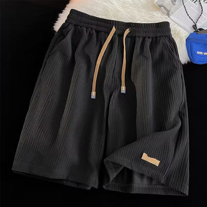Mens Pleated Quick Dry Casual Shorts