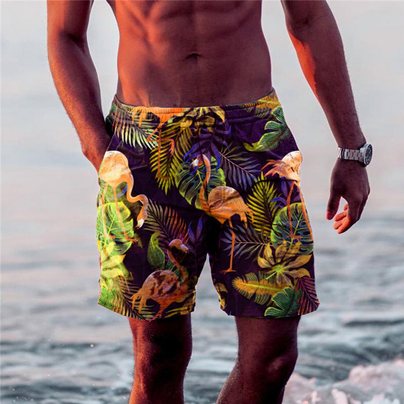 Mens Quick Dry Swim Shorts Beach Trunks