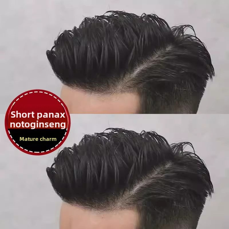 Mens Short Hair Wig with Top Hairpiece