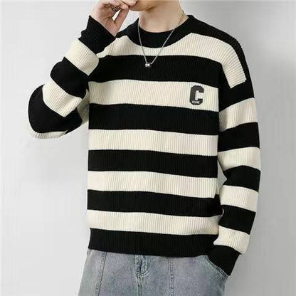 Mens Thick Knit Sweater