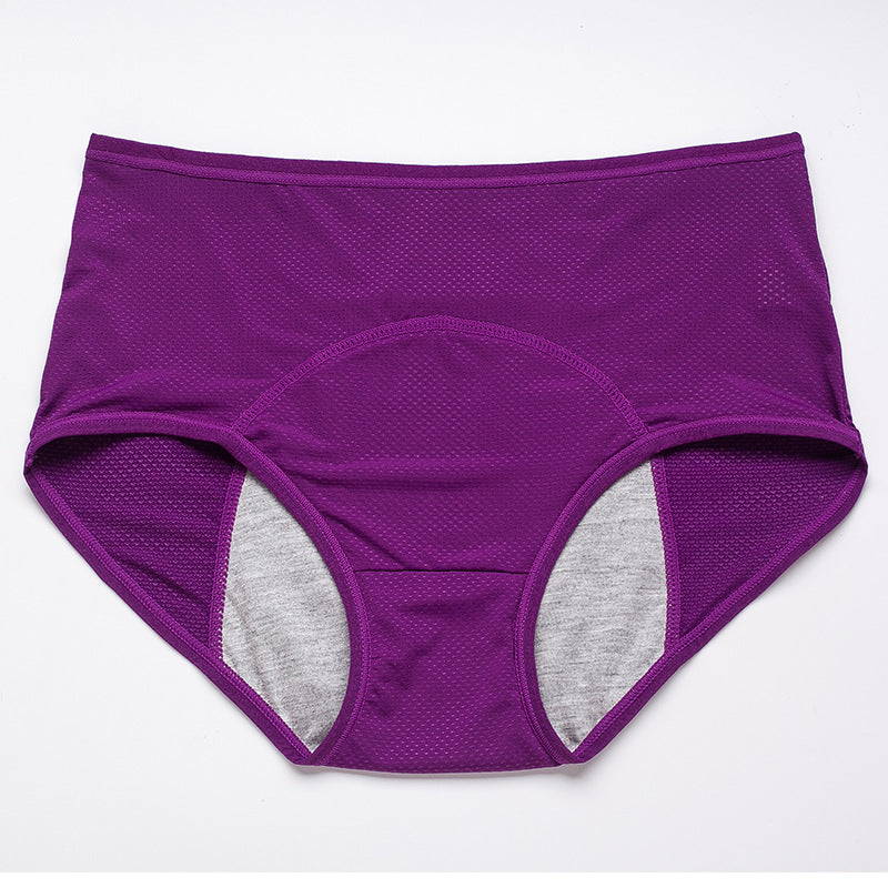 Mesh Menstrual Leak Proof Underwear High Waist