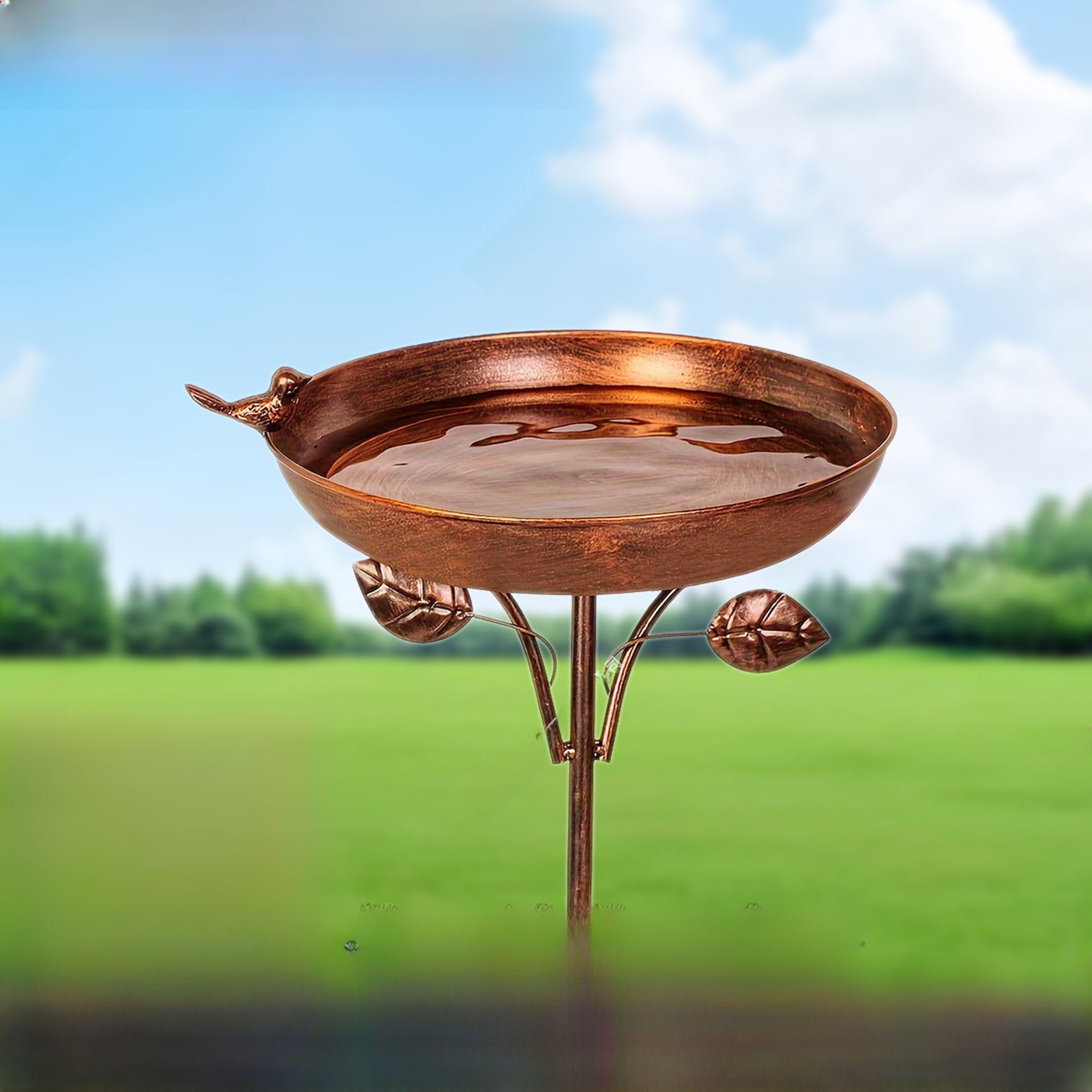 Metal Hummingbird Feeder and Bird Bath