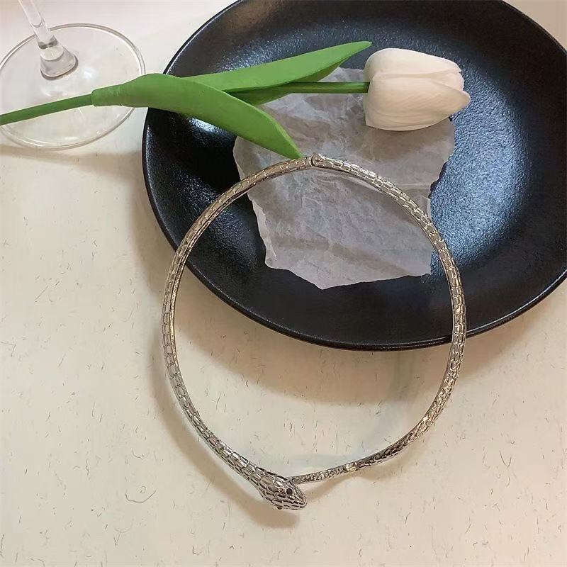 Metal Snake Chain Collar