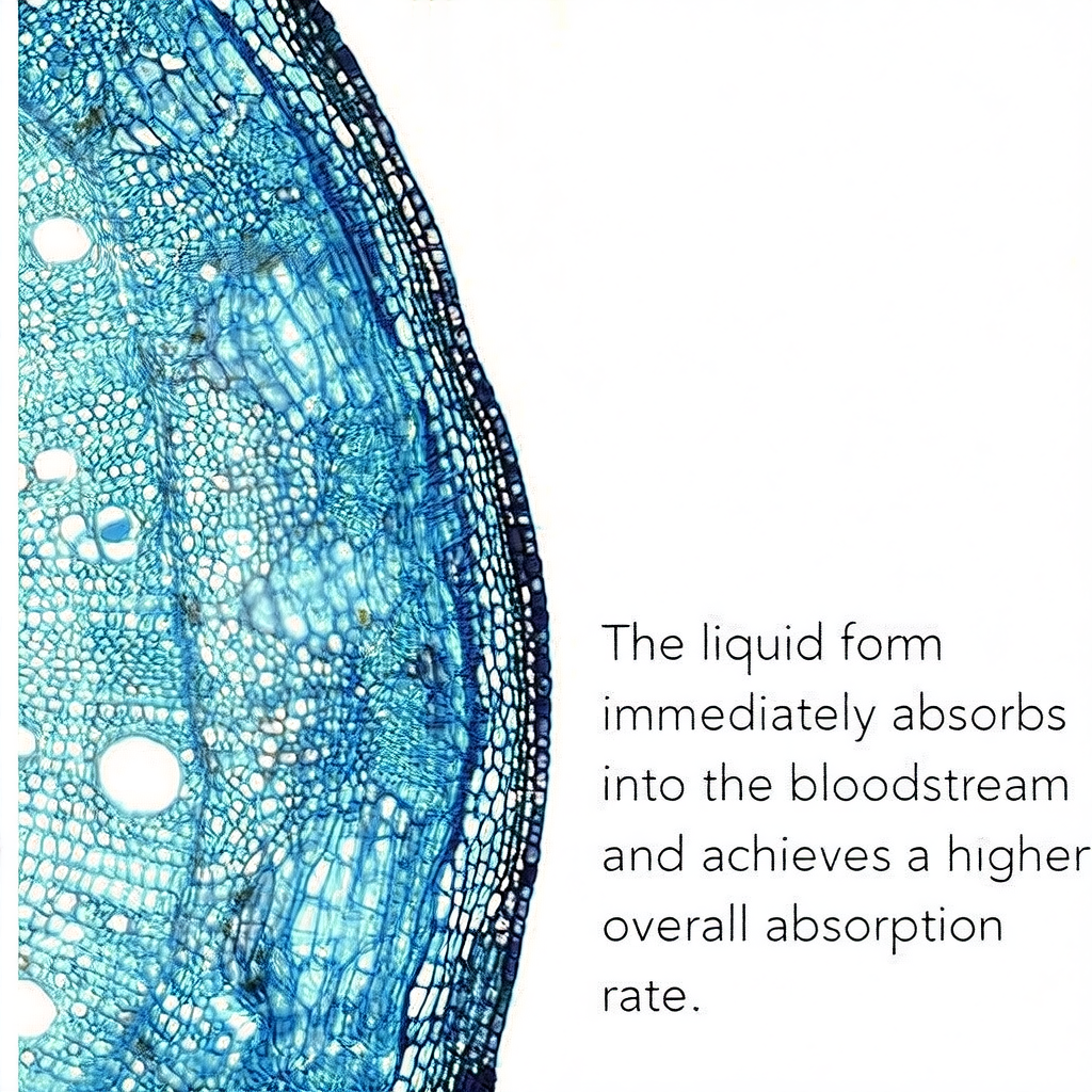 Methylfolate vitamin B12
