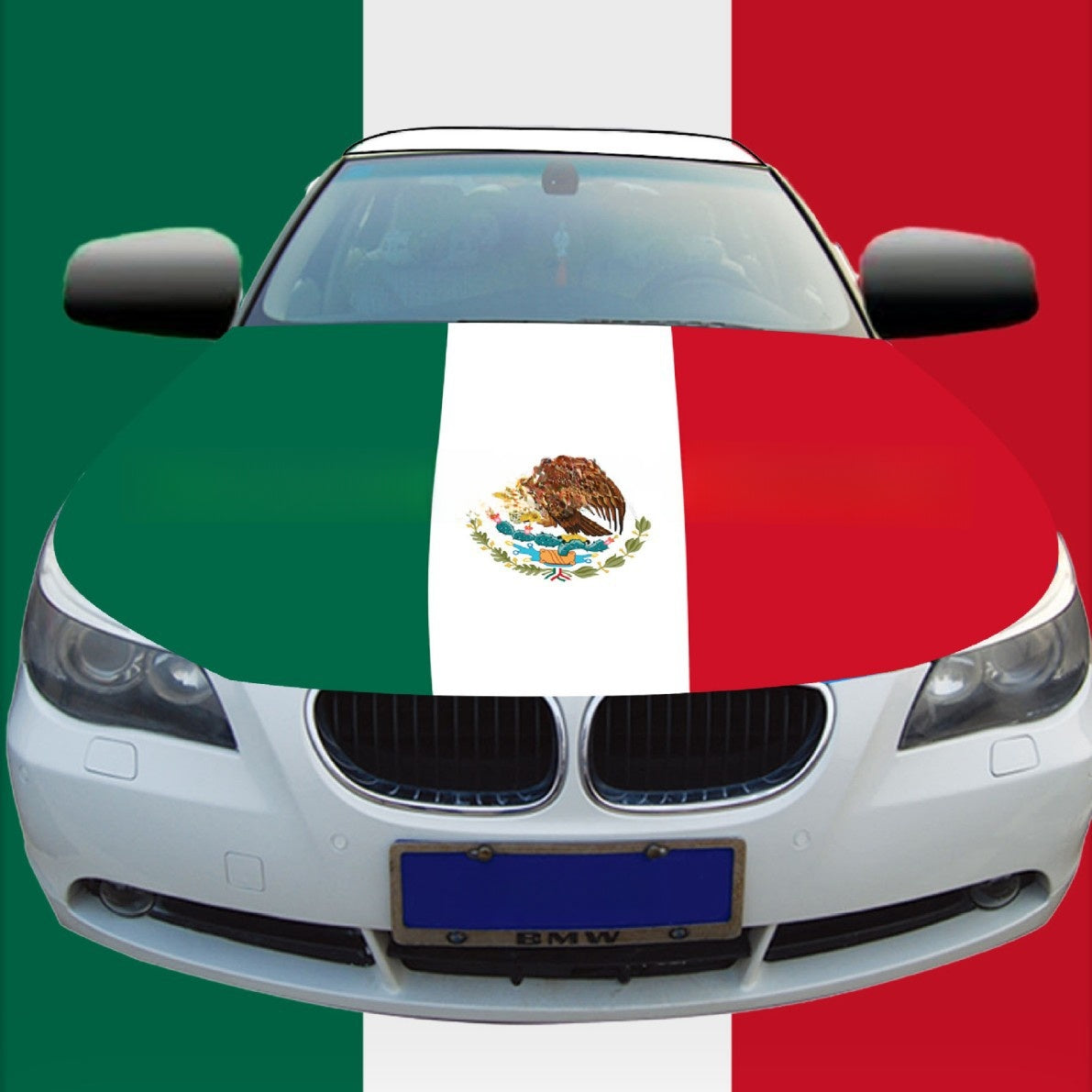 Mexican National Day Car Flag