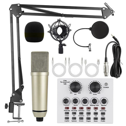 Microphone