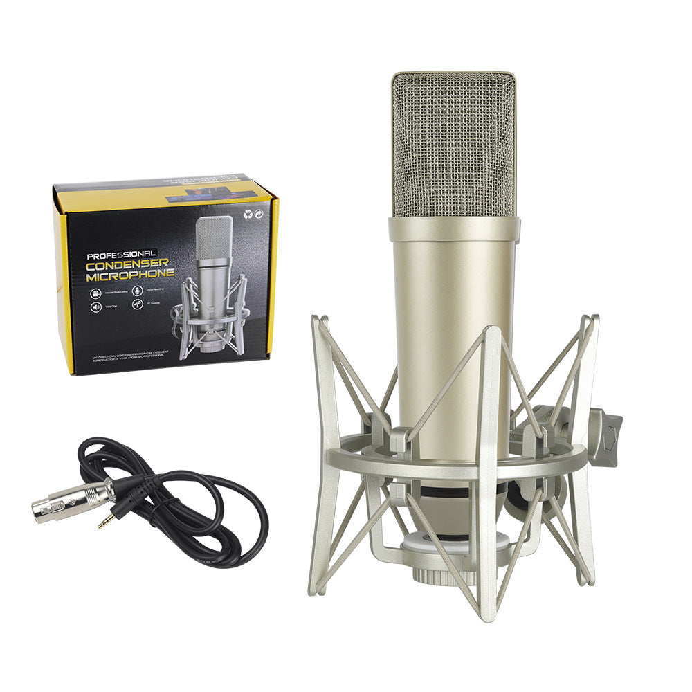 Microphone