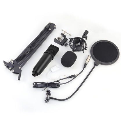 Microphone