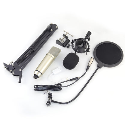Microphone
