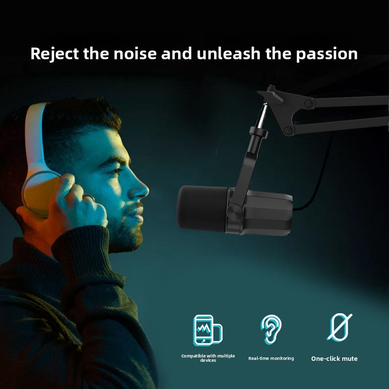 Microphone