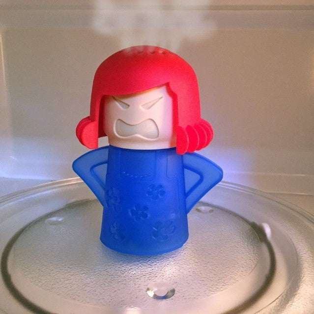 Microwave Cleaner